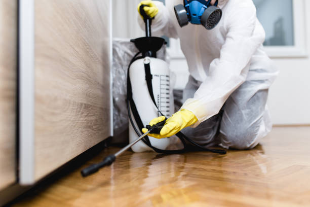 Best Affordable Pest Control Services  in Coral Springs, FL