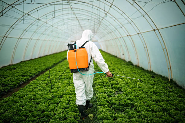 Trusted Coral Springs, FL Pest Control Experts
