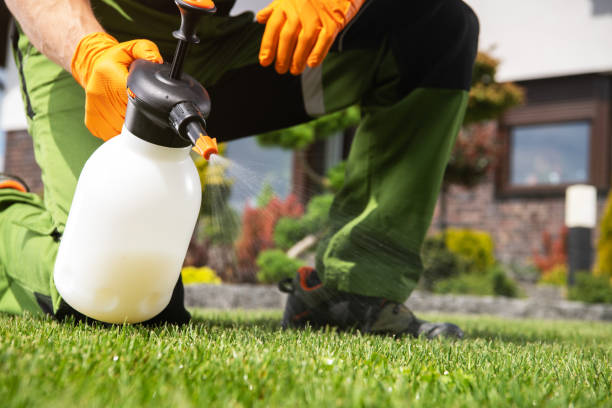 Best Residential Pest Control  in Coral Springs, FL