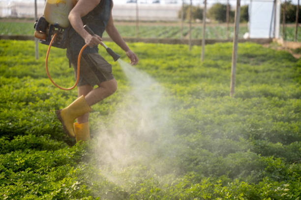  Coral Springs, FL Pest Control Pros