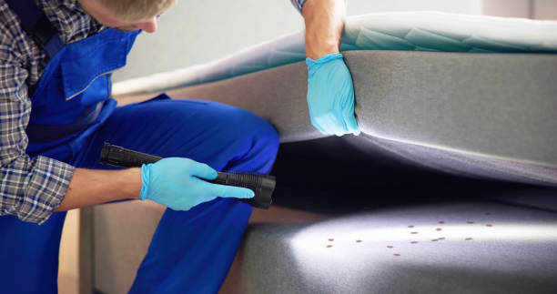 Best Residential Pest Control  in Coral Springs, FL
