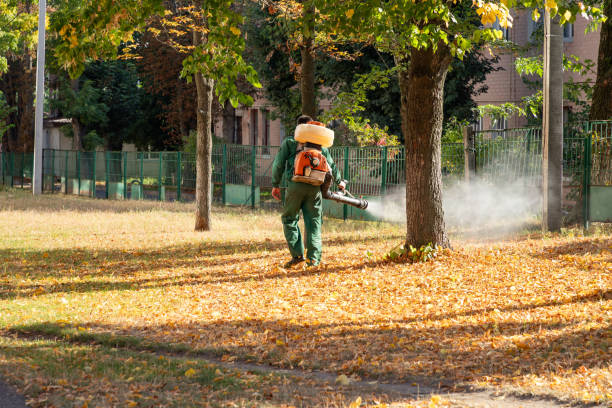 Best Flea Control Services  in Coral Springs, FL